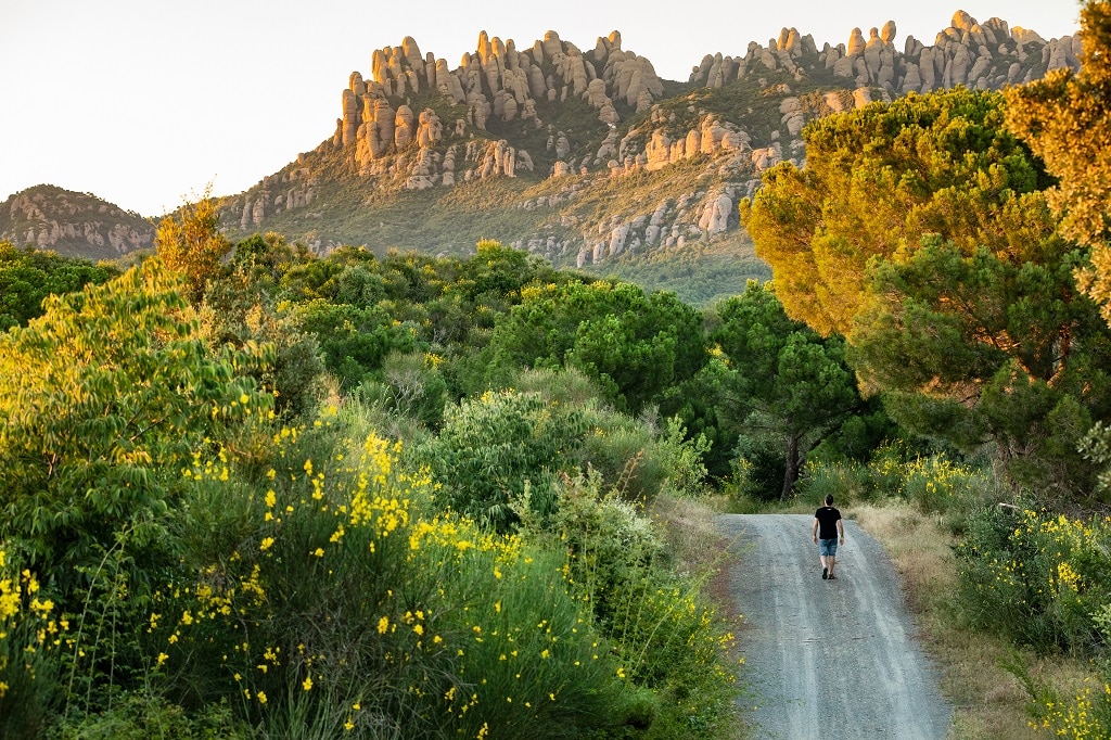 Macizo de Montserrat visto desde la comarca de l’Anoia